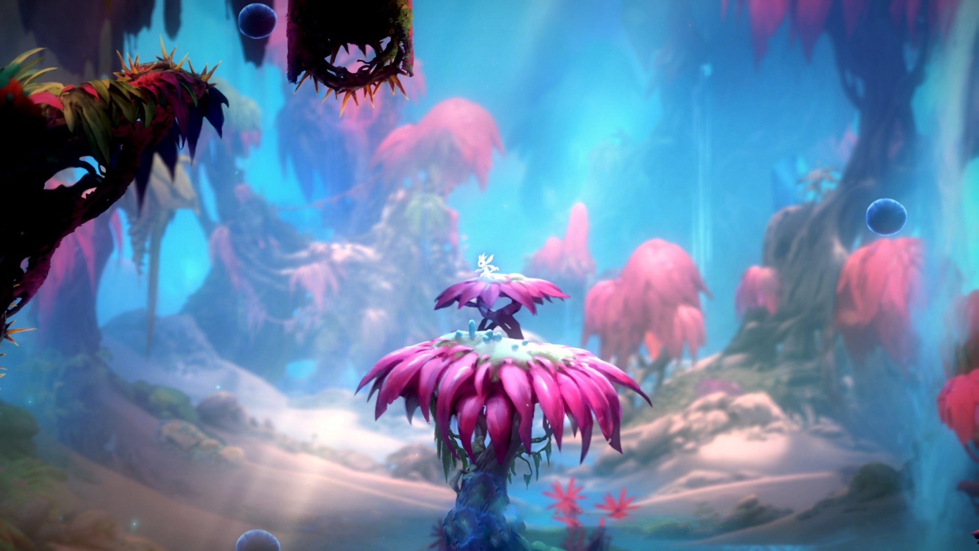 攀岩体验课走进社区拓展亲子运动项目，攀岩户外活动