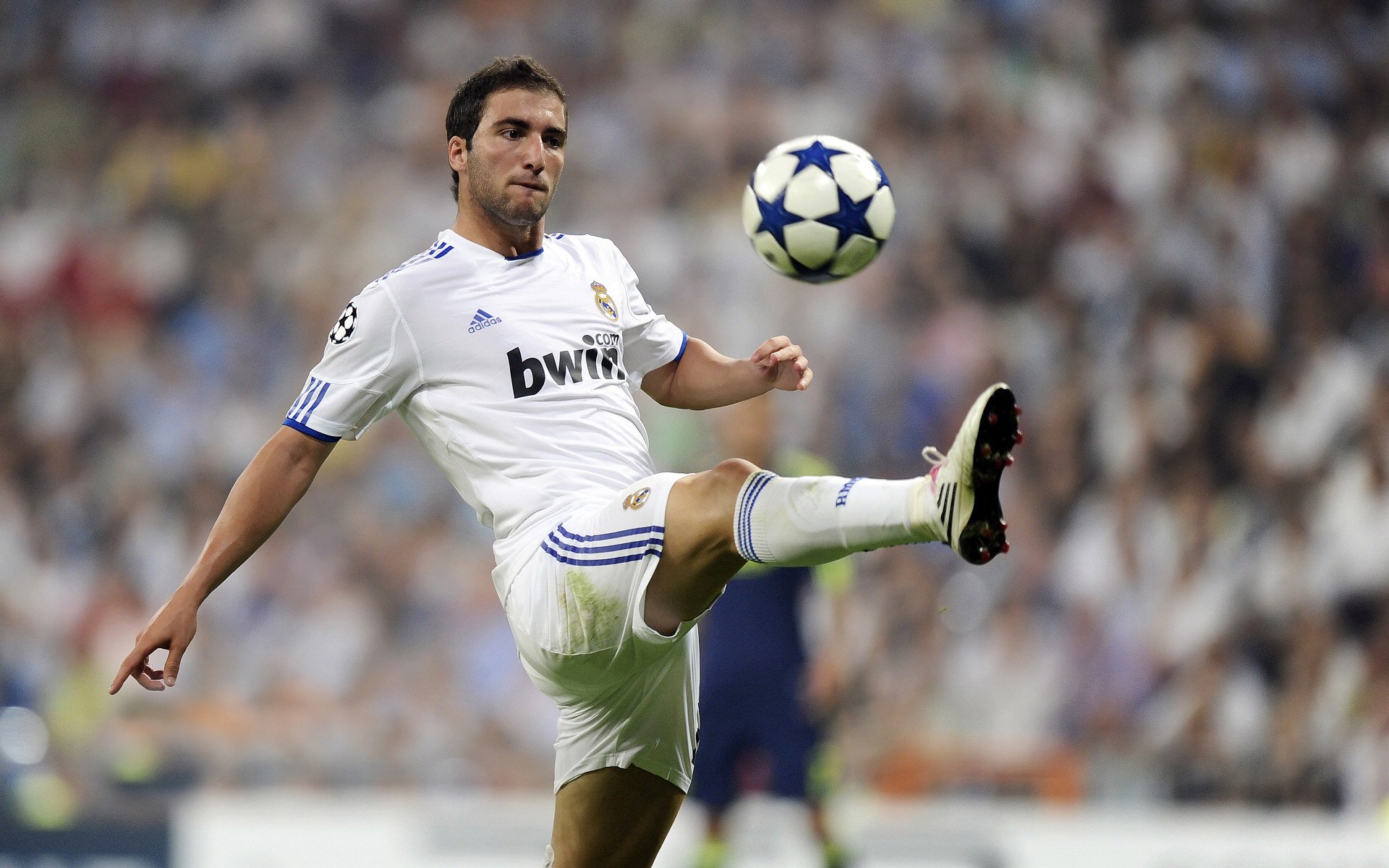 弗朗索瓦·霍尔茨豪伊泽：攻守兼备，成就南非队最佳全能选手，弗雷德·霍伊尔